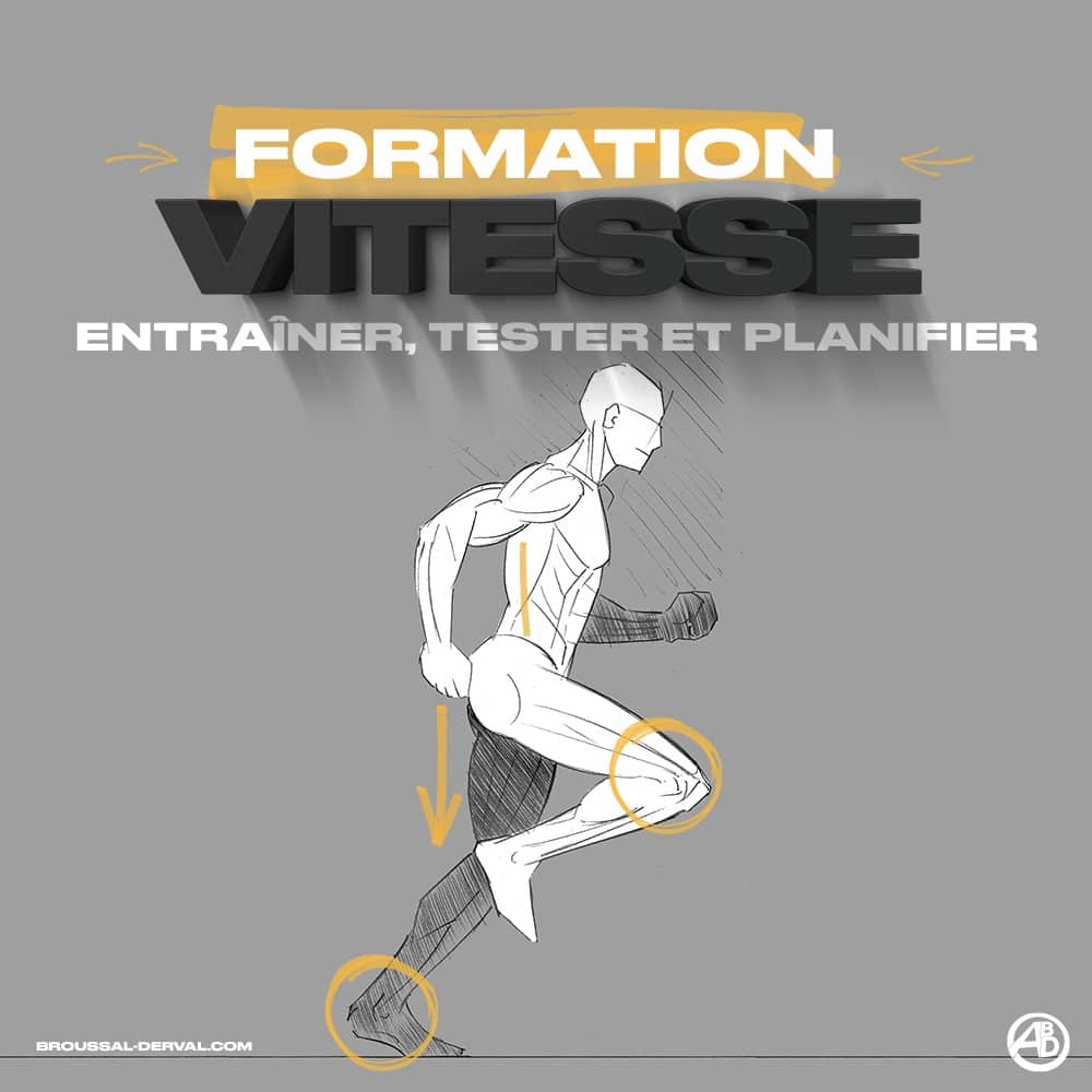 ABD Formations - Prépa physique / Récup / Réathlétisation